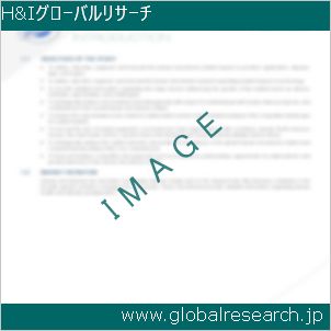 グローバルリサーチ調査レポートのイメージ